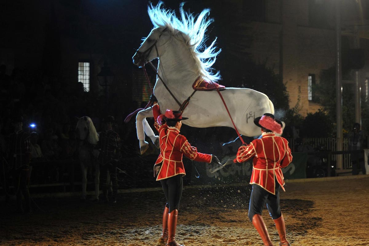 Espectáculo Ecuestre en las Caballerizas Reales Córdoba