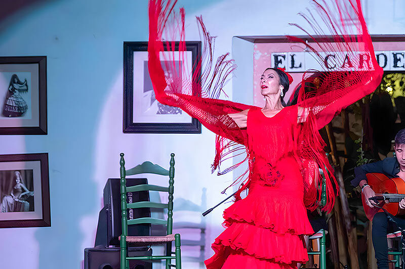 Flamenco Puro – Cena & Espectáculo en el Tablao El Cardenal