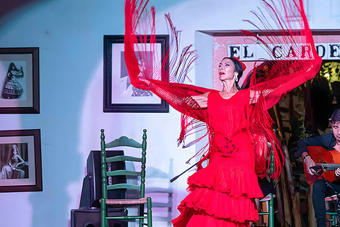 tablao-el-cardenal-e1753203259566 1